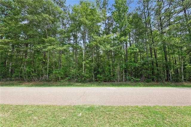 PARCEL2 Bruhl Rd, Folsom, LA 70437 - photo 9