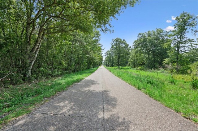 PARCEL2 Bruhl Rd, Folsom, LA 70437 - photo 10