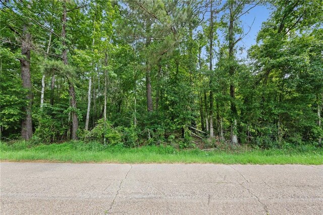 PARCEL2 Bruhl Rd, Folsom, LA 70437 - photo 11