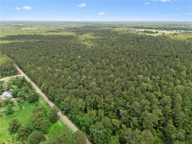 PARCEL2 Bruhl Rd, Folsom, LA 70437 - photo 13
