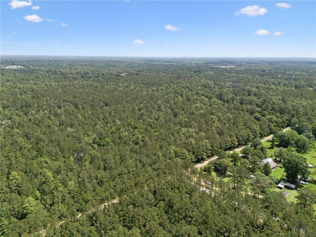PARCEL2 Bruhl Rd, Folsom, LA 70437 - photo 14