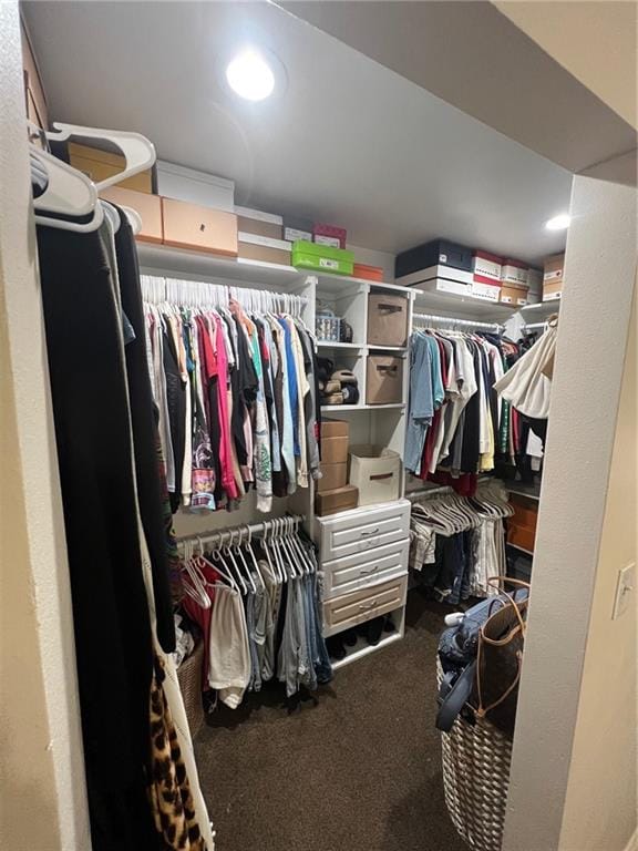 walk in closet with carpet floors