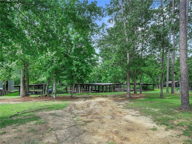 31501 River Pines Dr, Springfield, LA 70462 - view of yard