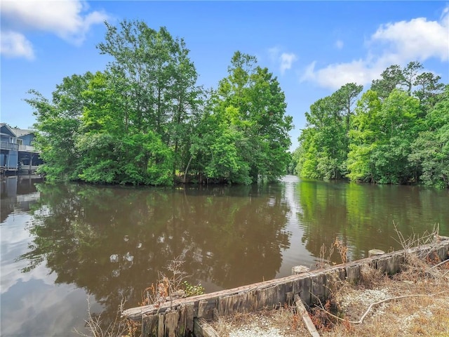 31501 River Pines Dr, Springfield, LA 70462 - property view of water
