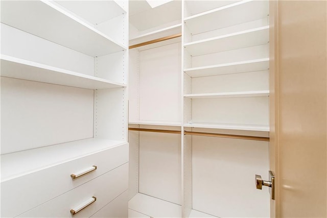 view of walk in closet