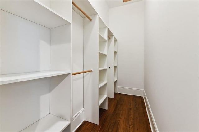 walk in closet featuring dark wood-type flooring