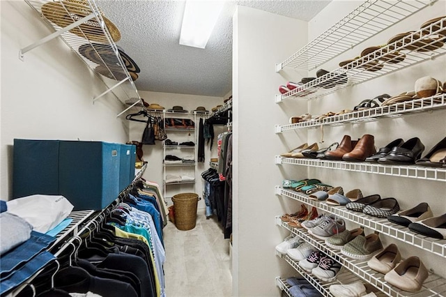 view of walk in closet