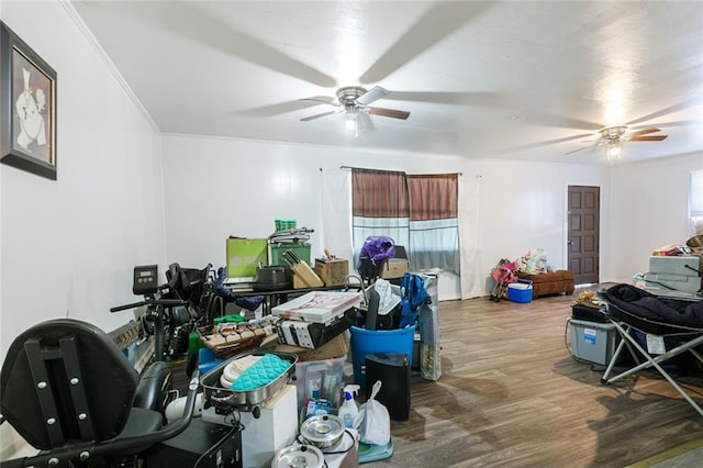 interior space with wood finished floors, crown molding, and a ceiling fan