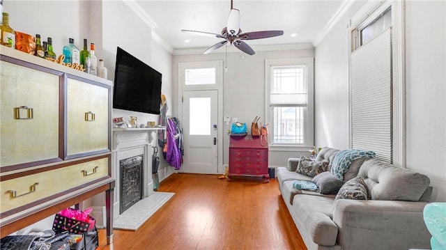 living area with a fireplace with raised hearth, wood finished floors, a ceiling fan, and ornamental molding