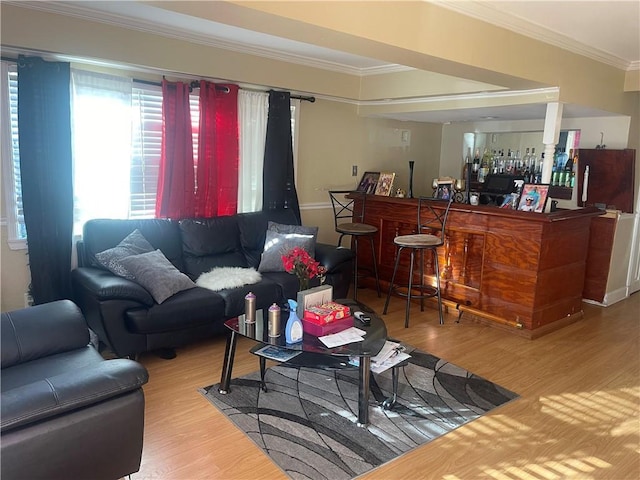 living room with a bar, crown molding, and wood finished floors