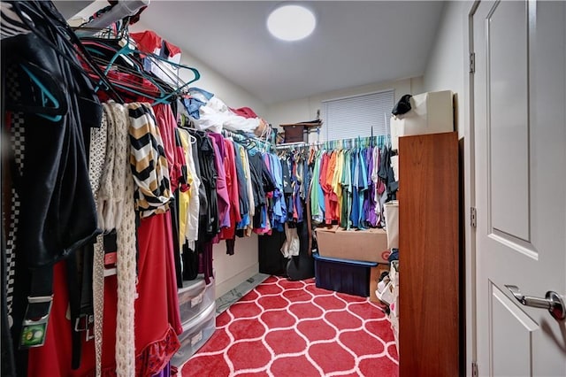 view of spacious closet