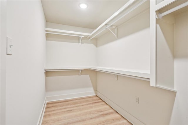 spacious closet featuring light wood-type flooring