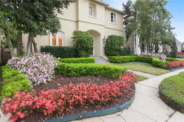 view of front of home with stucco siding