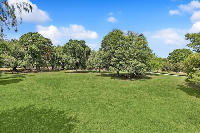 115 Cambridge Dr, Belle Chasse, LA 70037 - view of home's community featuring a yard
