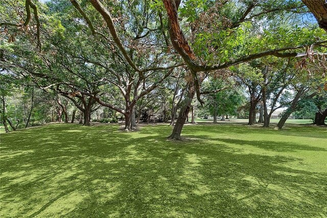 115 Cambridge Dr, Belle Chasse, LA 70037 - view of yard