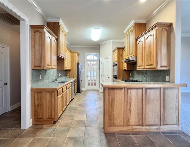 kitchen featuring under cabinet range hood, stainless steel appliances, a peninsula, and light countertops