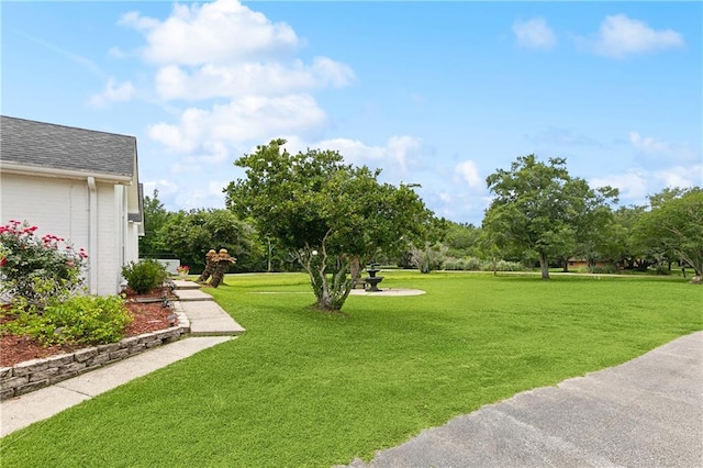 5227 Shady Park Dr, Marrero, LA 70072 - view of green lawn