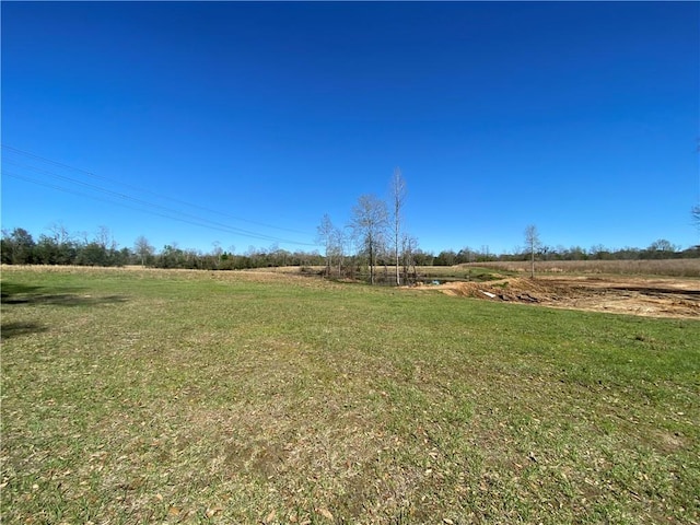 TBD Ruth Holton Rd, Amite, LA 70422