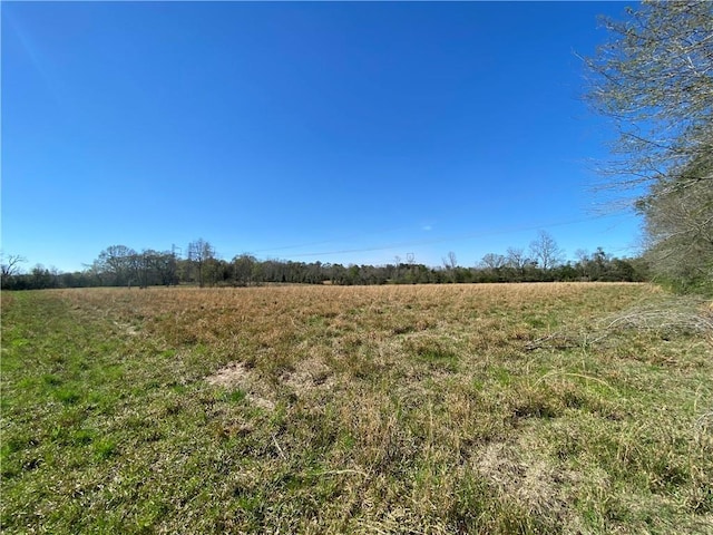 TBD Ruth Holton Rd, Amite, LA 70422