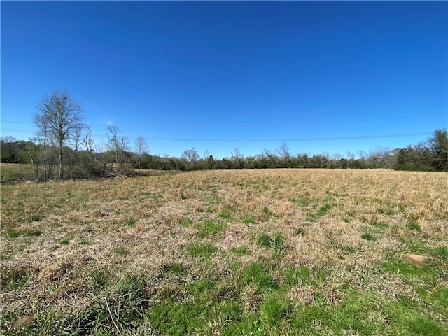TBD Ruth Holton Rd, Amite, LA 70422