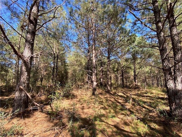 TBD Ruth Holton Rd, Amite, LA 70422