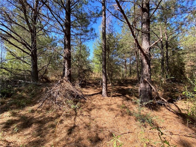 TBD Ruth Holton Rd, Amite, LA 70422