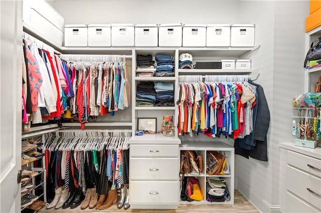 view of spacious closet