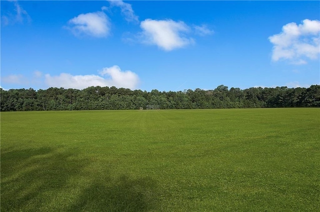 1169 Fox Sparrow Loop, Madisonville, LA 70447 - view of tree filled area