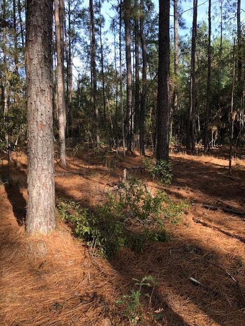 5ACRES Elliot Rd, Bush, LA 70431