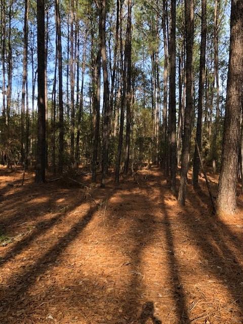 5ACRES Elliot Rd, Bush, LA 70431