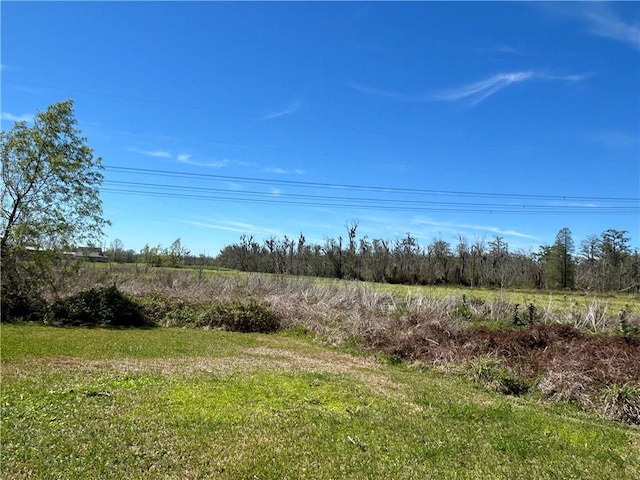 962 Magnolia Ridge Rd, Boutte, LA 70039 - view of yard