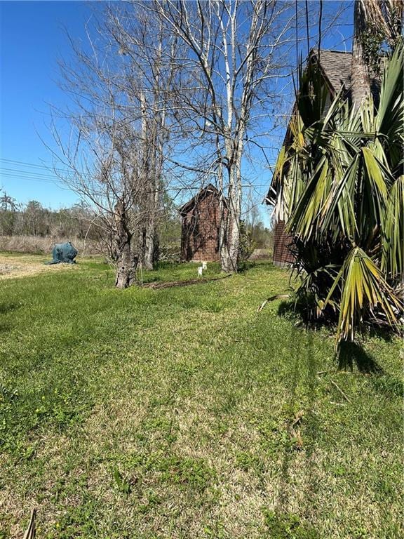 962 Magnolia Ridge Rd, Boutte, LA 70039 - view of yard