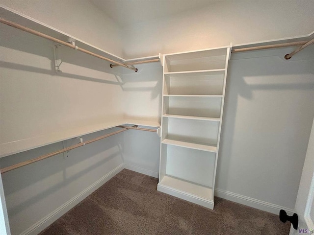 25307 Angele Dr, Ponchatoula, LA 70454 - walk in closet with carpet floors