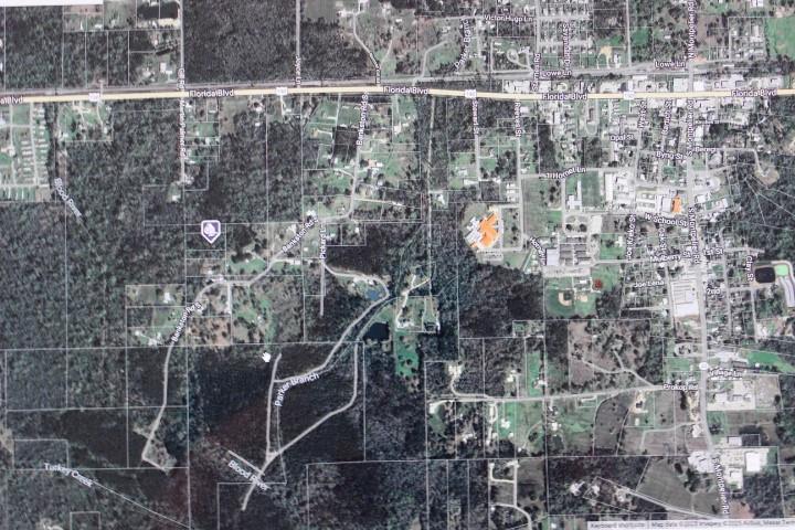 Bankston Rd, Albany, LA 70711 - photo 3