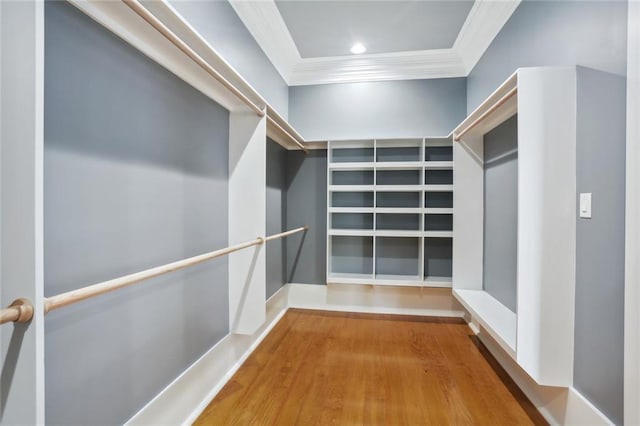736 Belleville St, New Orleans, LA 70114 - view of spacious closet