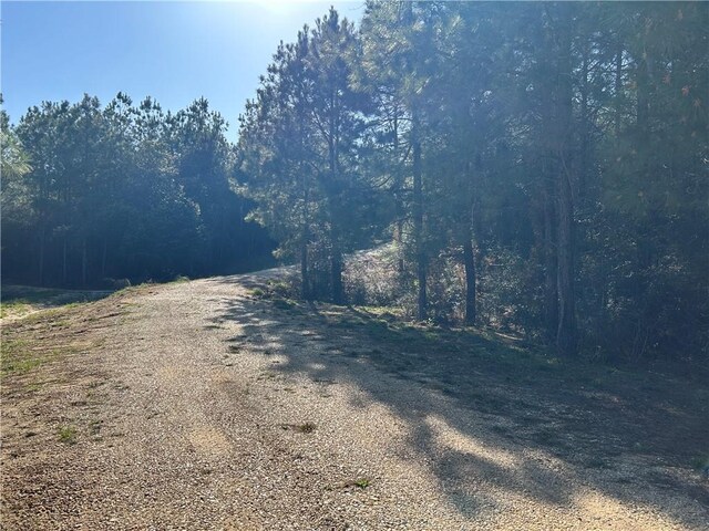 32066 Tom Warner Rd, Franklinton, LA 70438