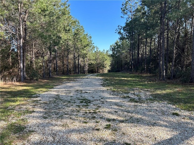 32066 Tom Warner Rd, Franklinton, LA 70438