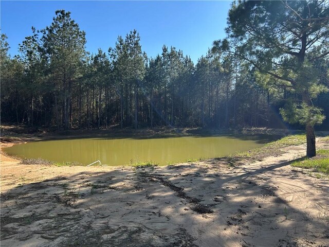 32066 Tom Warner Rd, Franklinton, LA 70438