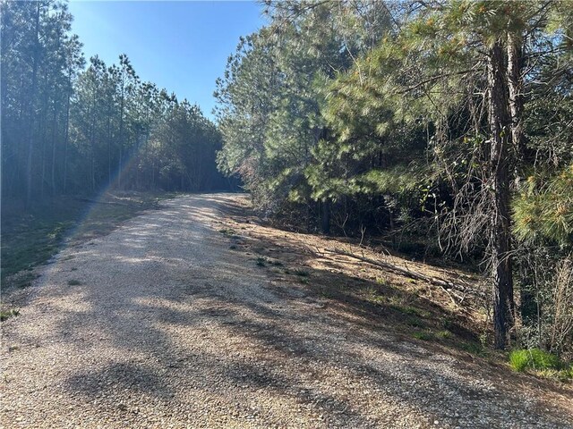 32066 Tom Warner Rd, Franklinton, LA 70438