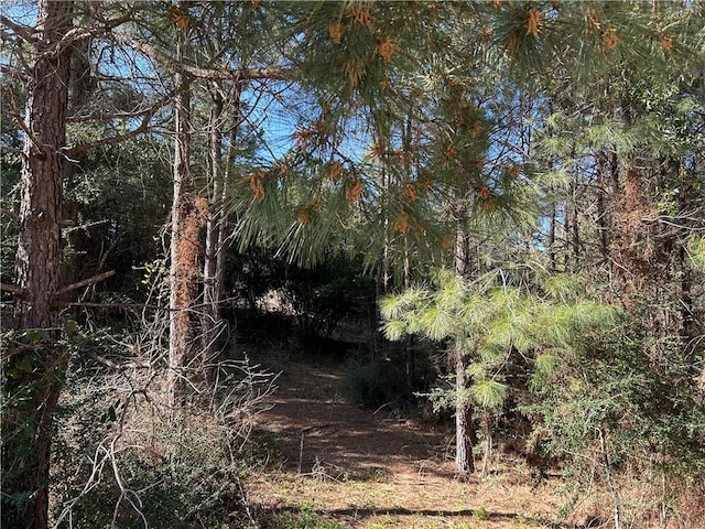 32066 Tom Warner Rd, Franklinton, LA 70438
