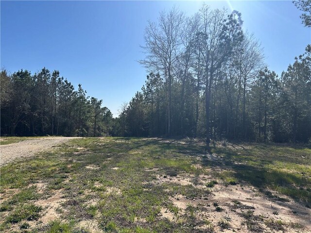 32066 Tom Warner Rd, Franklinton, LA 70438