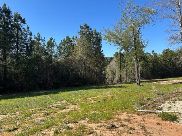 32066 Tom Warner Rd, Franklinton, LA 70438