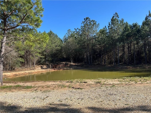 32066 Tom Warner Rd, Franklinton, LA 70438