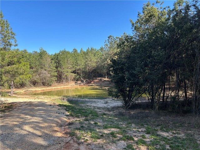 32066 Tom Warner Rd, Franklinton, LA 70438