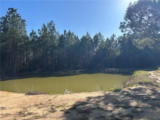 32066 Tom Warner Rd, Franklinton, LA 70438