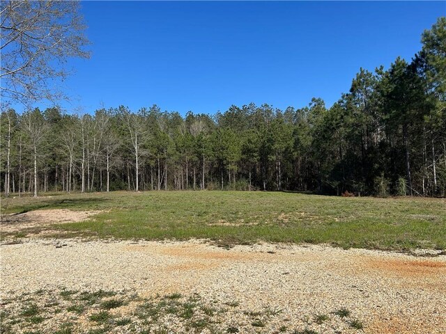 32066 Tom Warner Rd, Franklinton, LA 70438