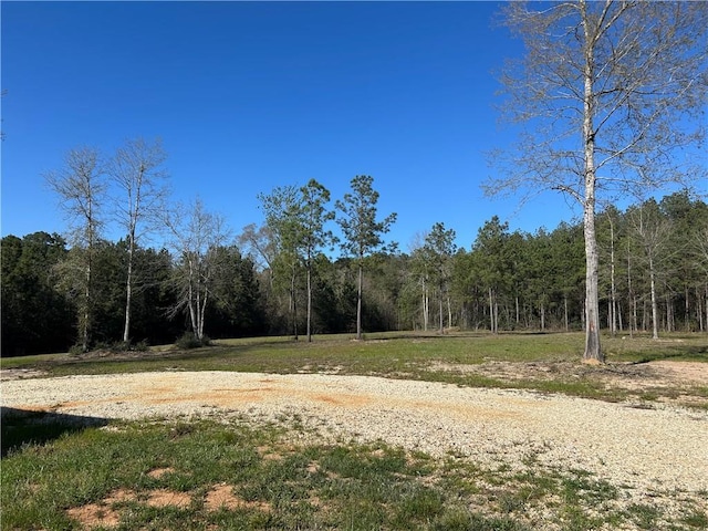 32066 Tom Warner Rd, Franklinton, LA 70438