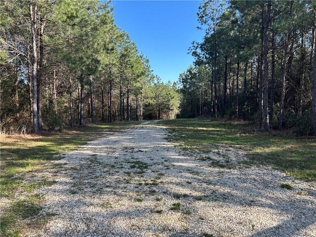 32066 Tom Warner Rd, Franklinton, LA 70438