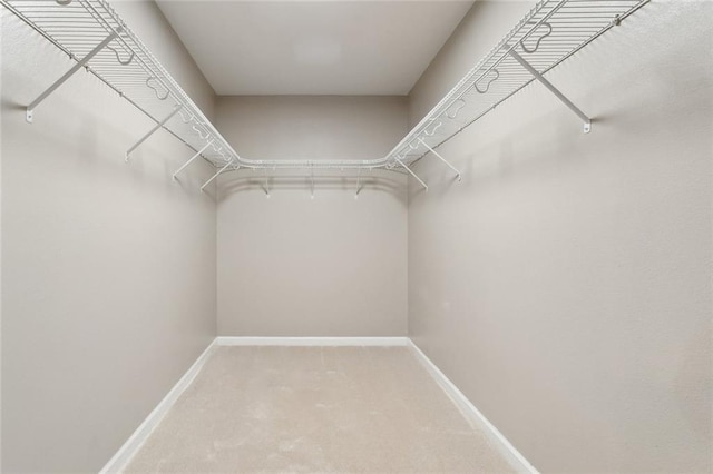 walk in closet featuring carpet