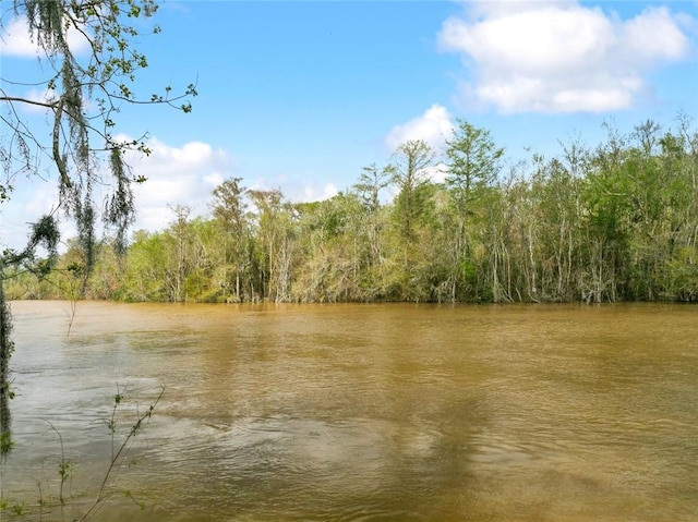 water view featuring a heavily wooded area
